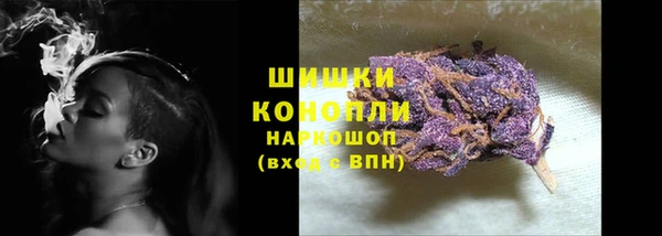 ПСИЛОЦИБИНОВЫЕ ГРИБЫ Белоозёрский