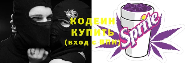 твердый Тайга