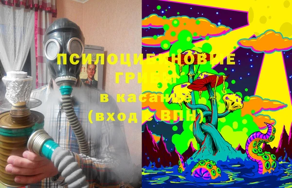 ПСИЛОЦИБИНОВЫЕ ГРИБЫ Белоозёрский