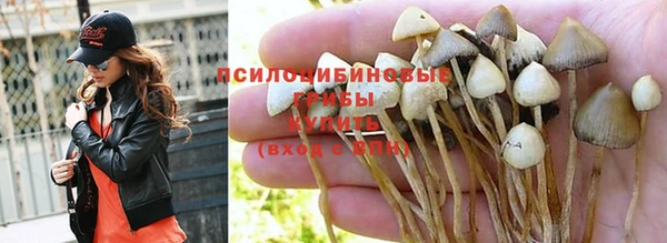 мдма Белокуриха