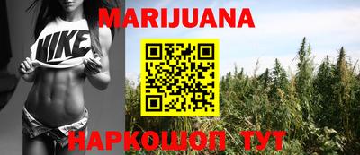 индика Беслан