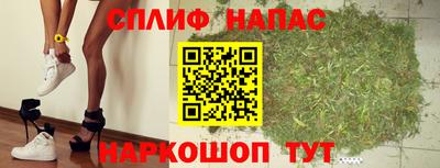 индика Беслан