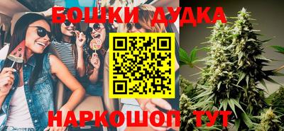 индика Беслан