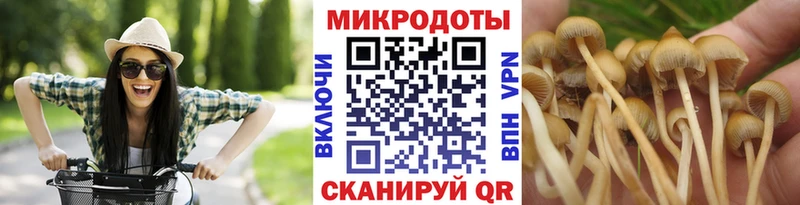 Псилоцибиновые грибы мицелий  blacksprut ТОР  Гай 